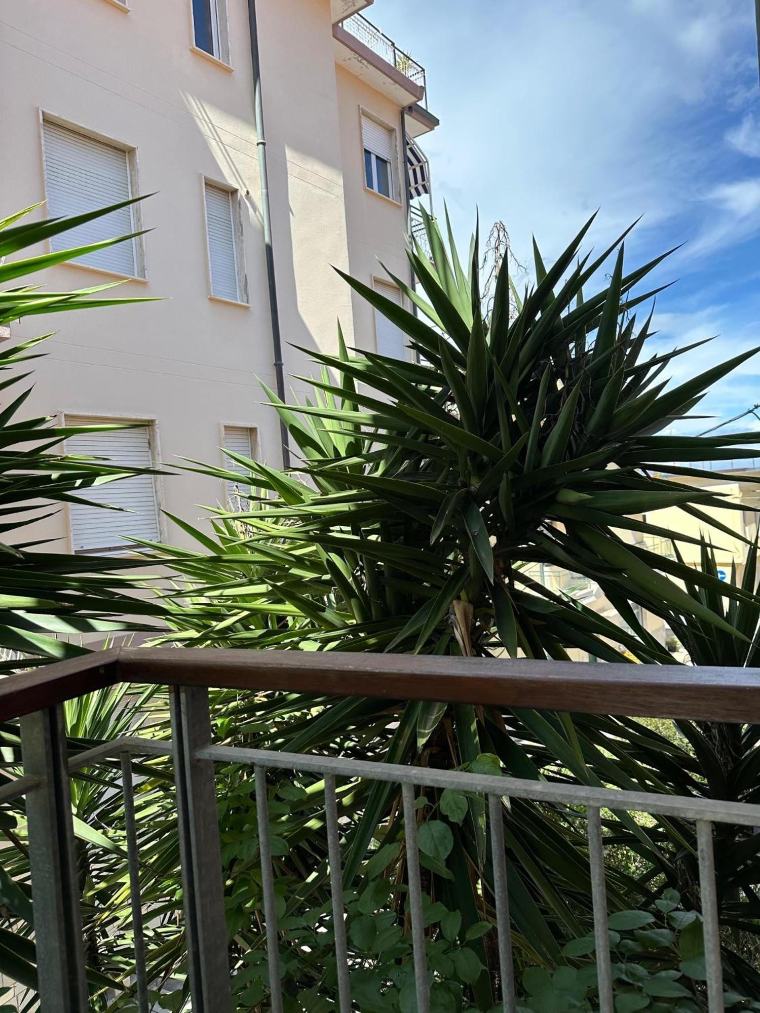 Hotel Mambo Laigueglia Esterno foto